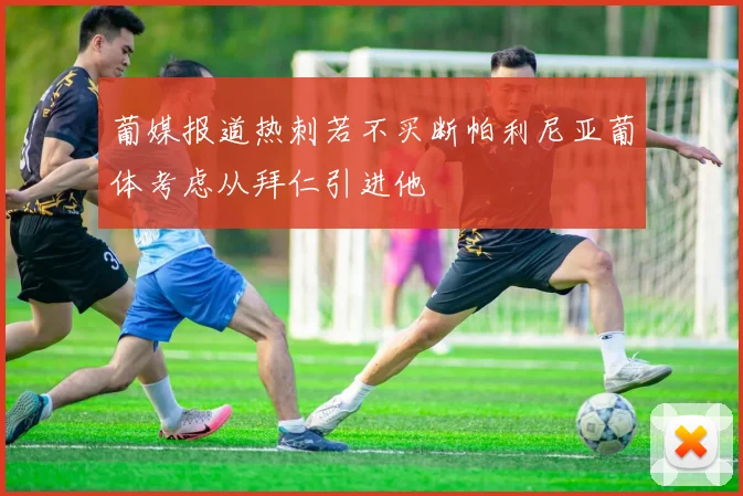 葡媒报道热刺若不买断帕利尼亚葡体考虑从拜仁引进他