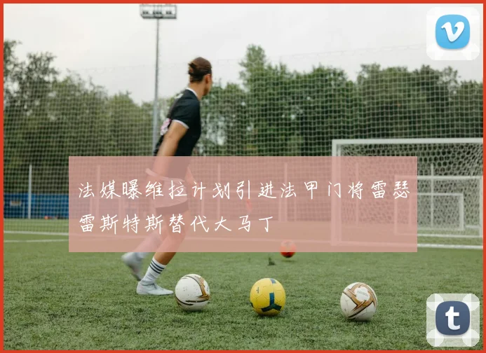 法媒曝维拉计划引进法甲门将雷瑟雷斯特斯替代大马丁